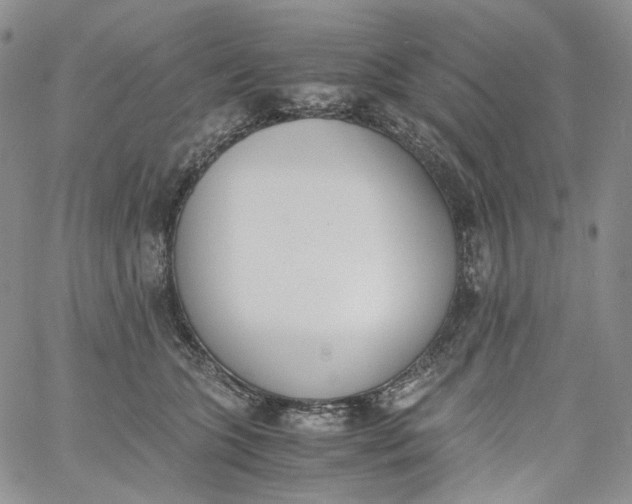 X0000060800563200511241913