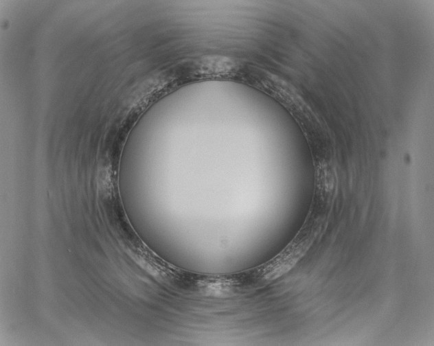 X0000060800564200511241913