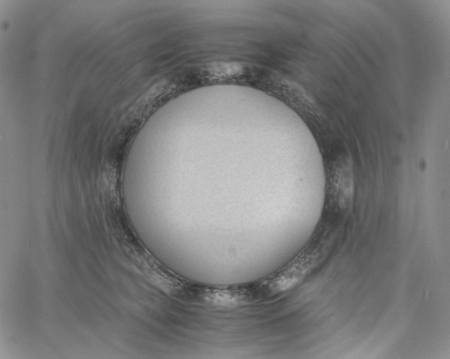 X0000060800565200511241913