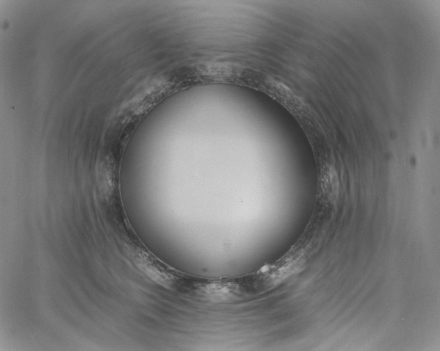 X0000060800566200511241913