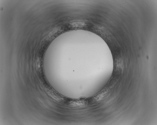 X0000060800567200511241913