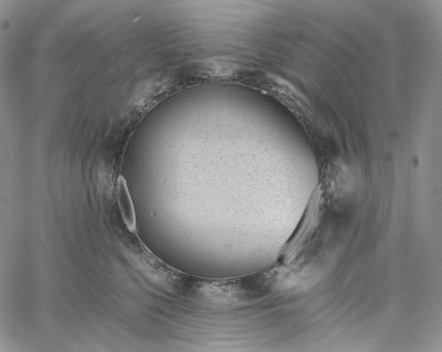 X0000060800568200511241913