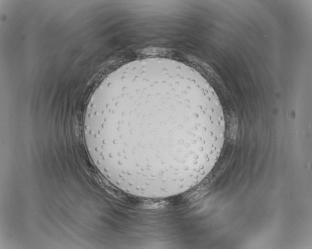 X0000060800569200511241913