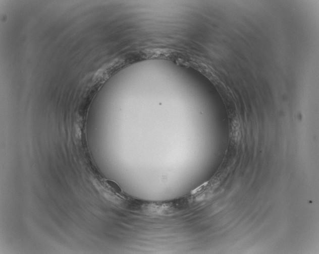 X0000060800570200511241913