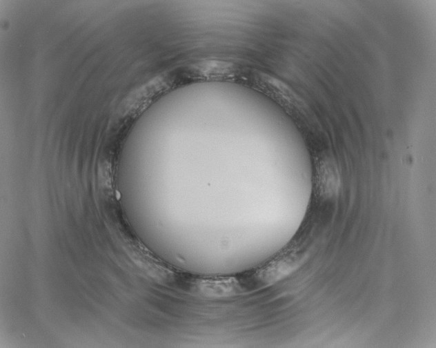 X0000060800571200511241913