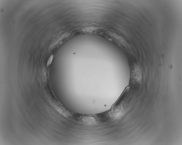 X0000060800572200511241913