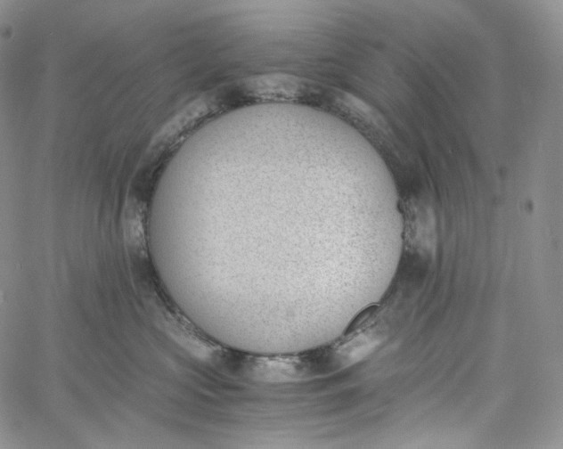 X0000060800573200511241913