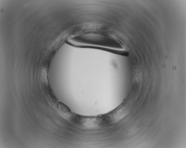 X0000060800575200511241913