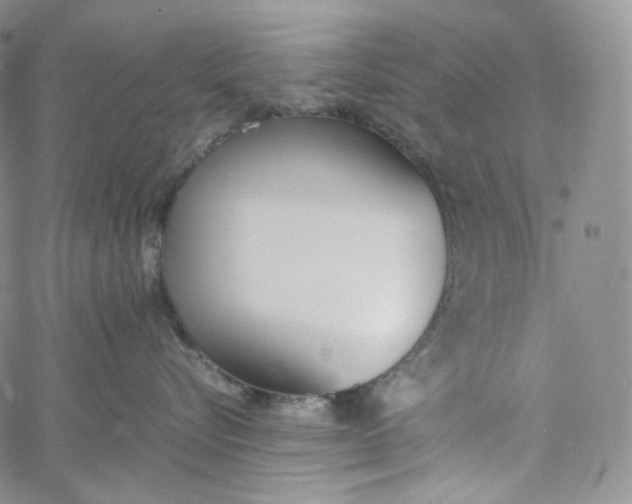 X0000060800576200511241913