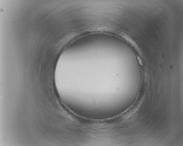 X0000060800577200511241912