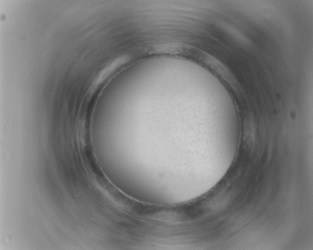 X0000060800578200511241912