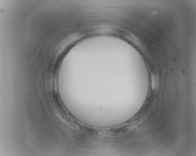 X0000060800579200511241912