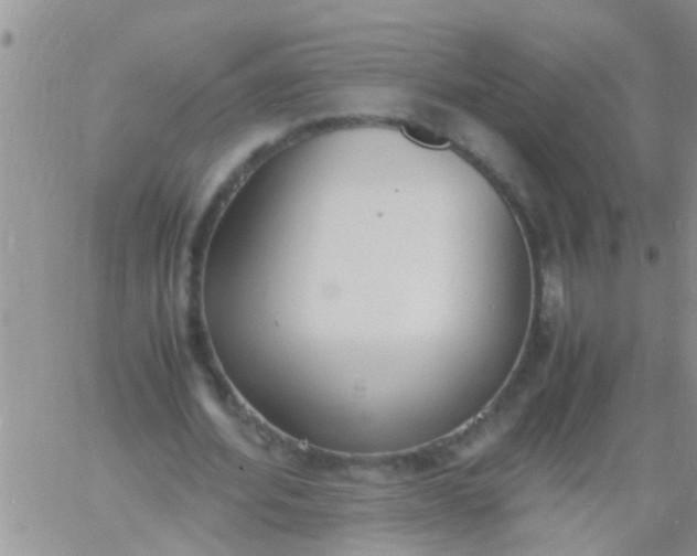 X0000060800580200511241912