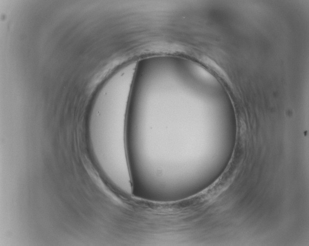 X0000060800581200511241912