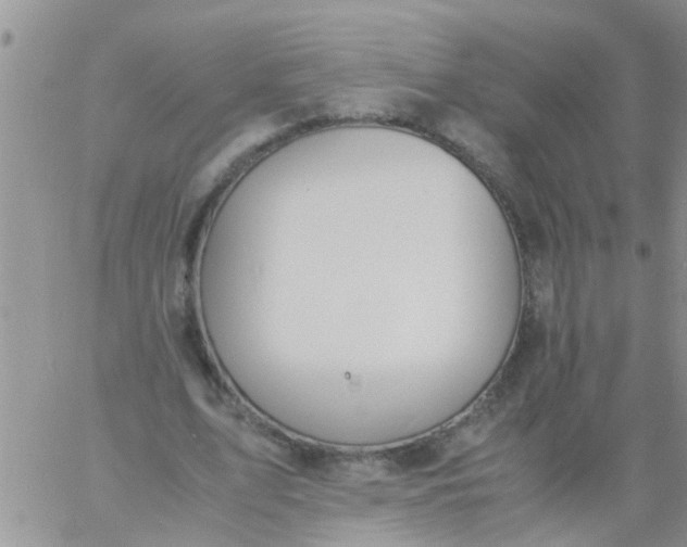 X0000060800583200511241912