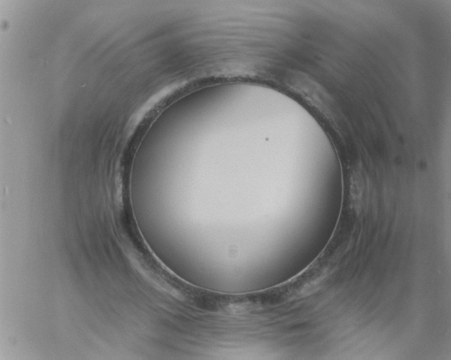 X0000060800584200511241912