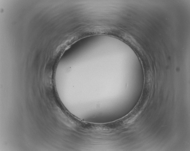 X0000060800585200511241912