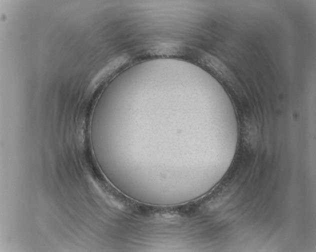 X0000060800586200511241912