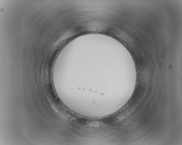 X0000060800587200511241912