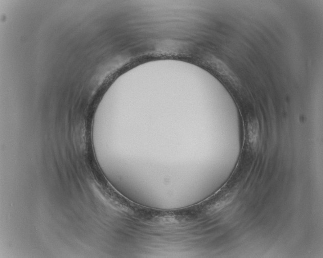 X0000060800588200511241912