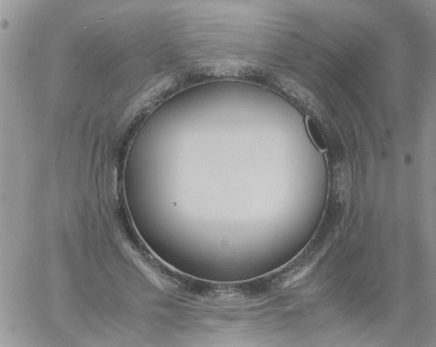 X0000060800589200511241912