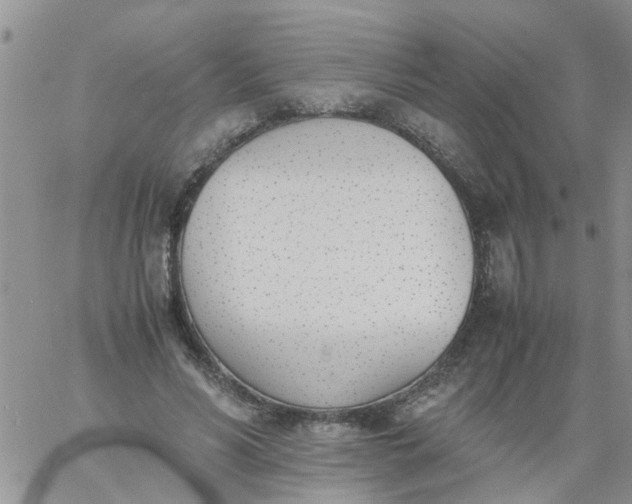 X0000060800590200511241912