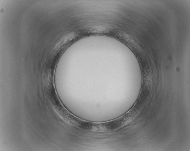 X0000060800591200511241912