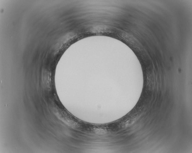 X0000060800592200511241912