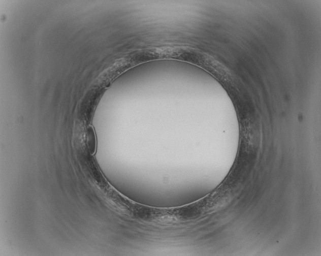 X0000060800593200511241912