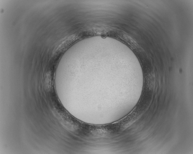 X0000060800594200511241912