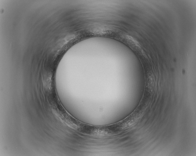 X0000060800596200511241912