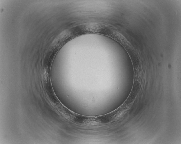 X0000060800597200511241912