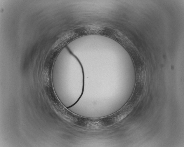 X0000060800599200511241912