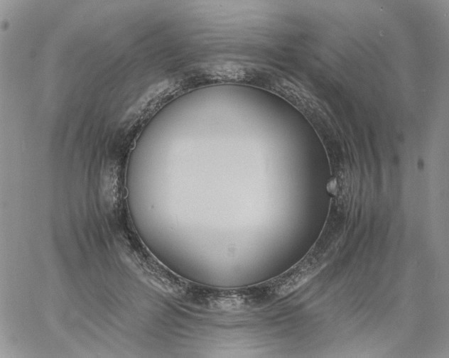 X0000060800600200511241912