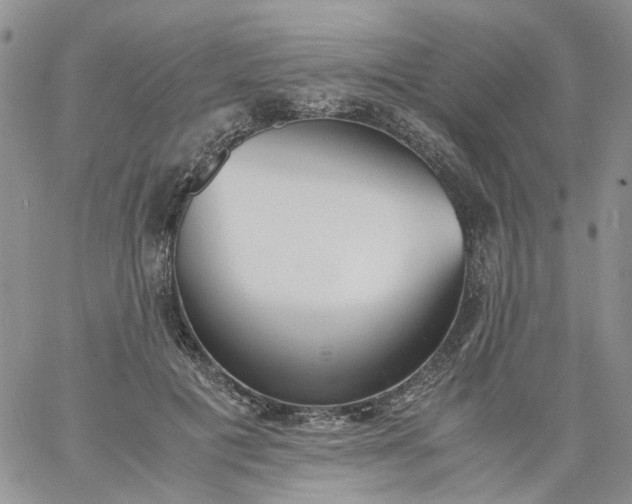 X0000060800601200511241912