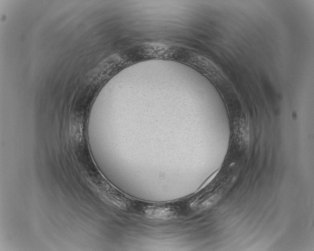 X0000060800602200511241912