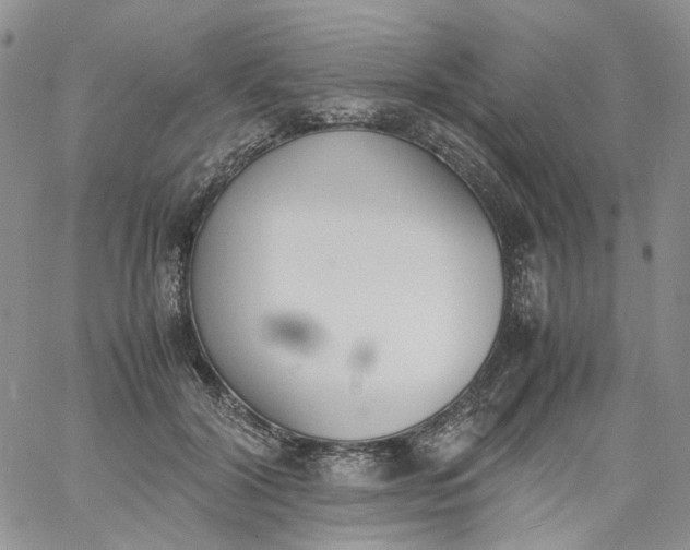 X0000060800604200511241912