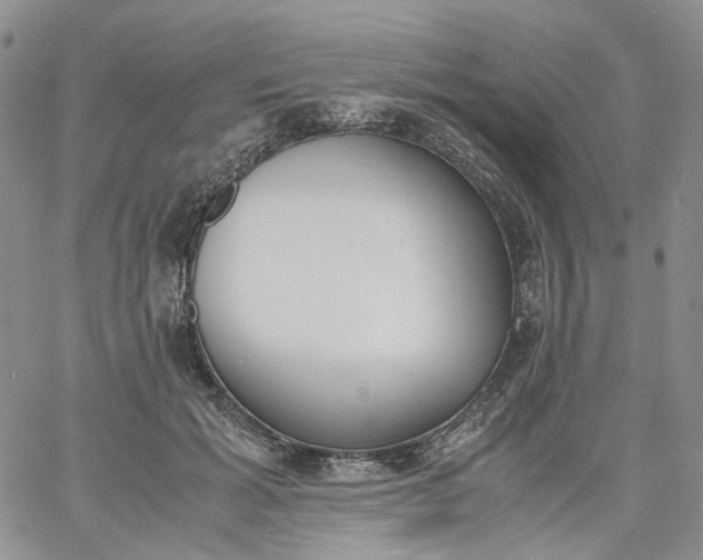 X0000060800605200511241912