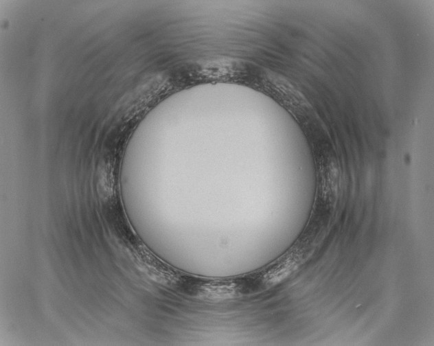 X0000060800606200511241912