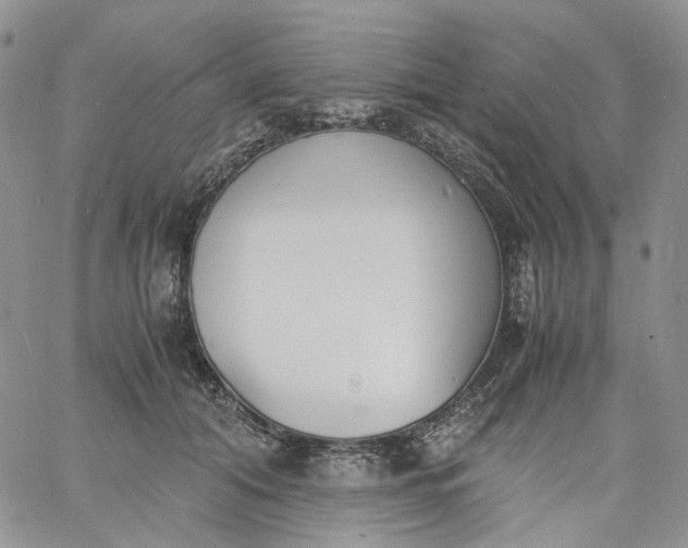 X0000060800608200511241912