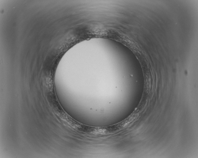 X0000060800609200511241912