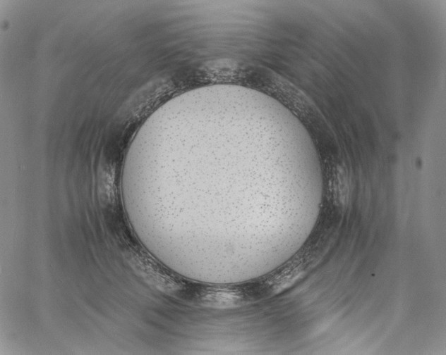 X0000060800610200511241912