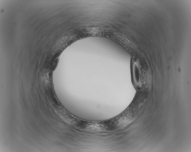 X0000060800611200511241912