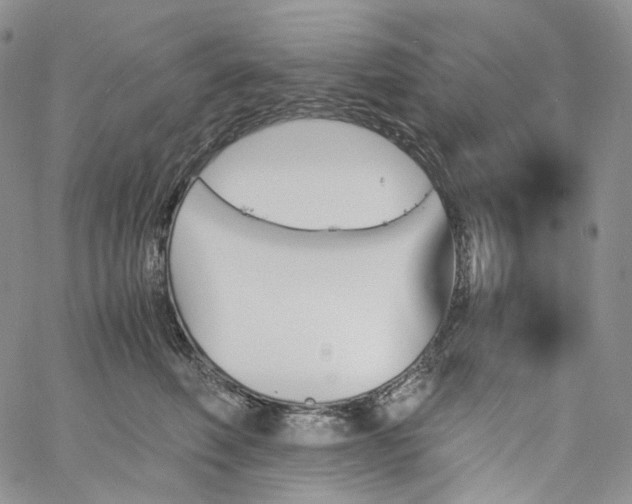 X0000060800614200511241912