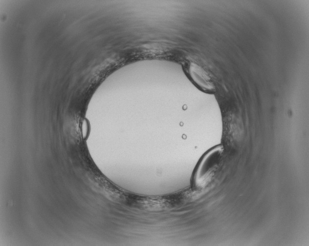 X0000060800615200511241912