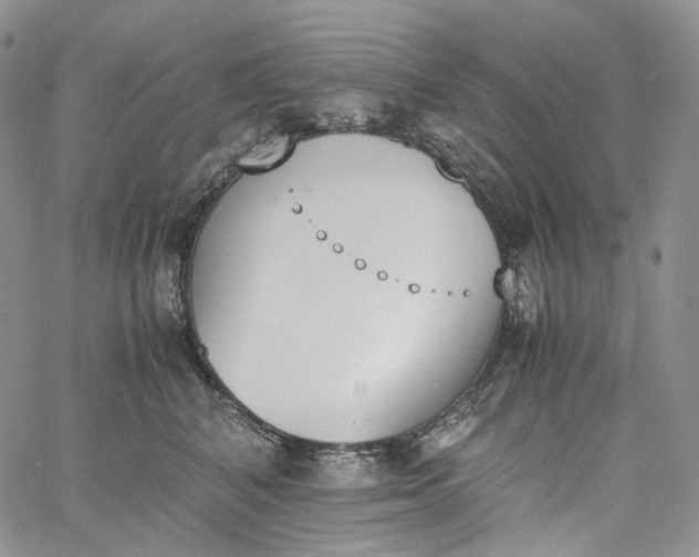 X0000060800616200511241912