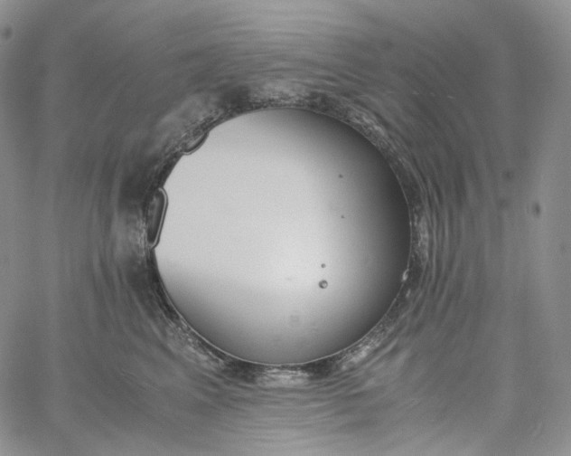 X0000060800617200511241912