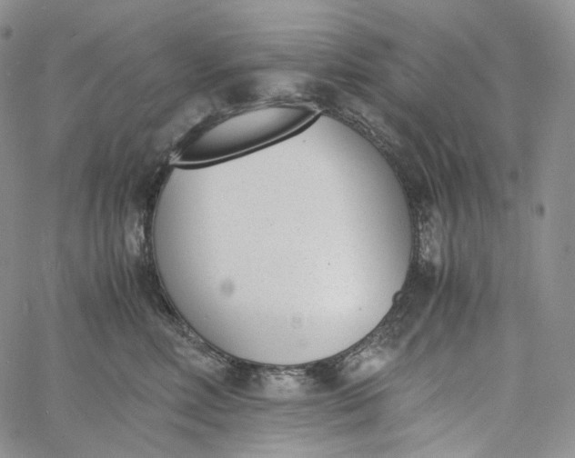 X0000060800618200511241912