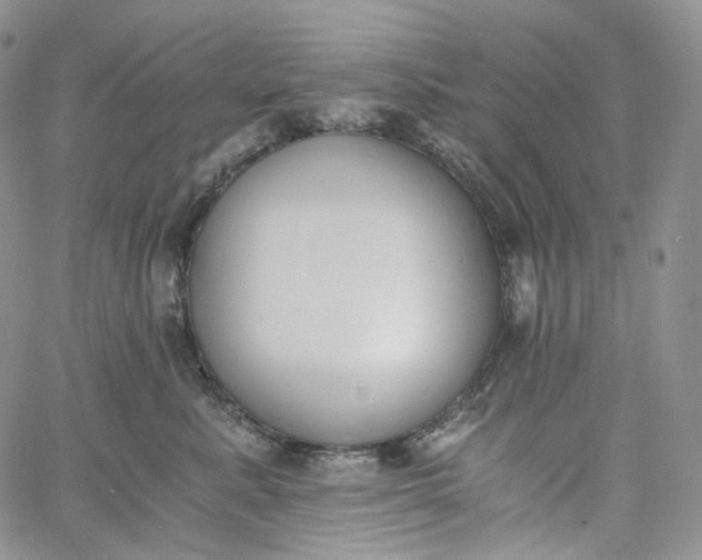 X0000060800619200511241912