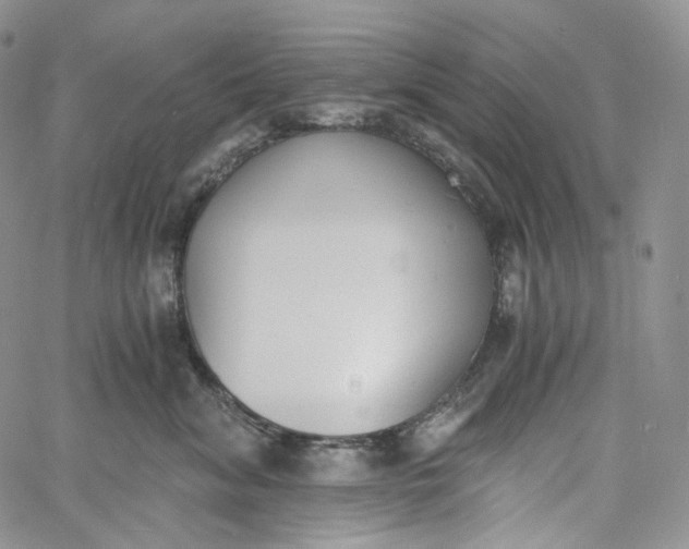 X0000060800620200511241912